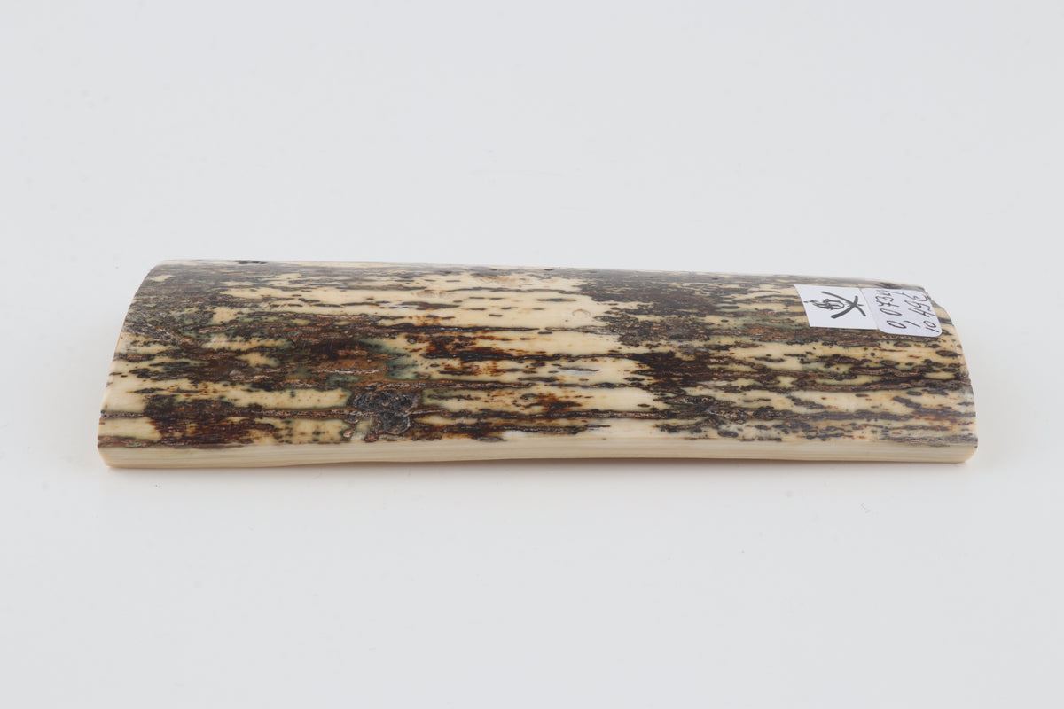 Natural woolly mammoth bark