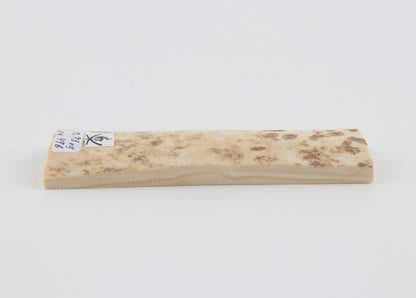 White mammoth bark
