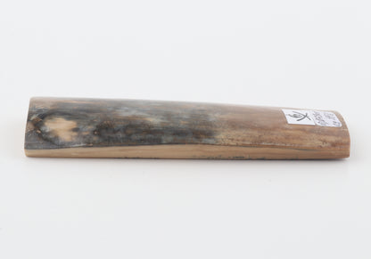 Brown-green mammoth bark