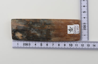 Brown-green mammoth bark