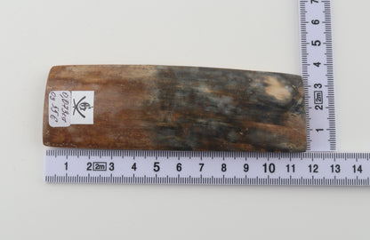 Brown-green mammoth bark
