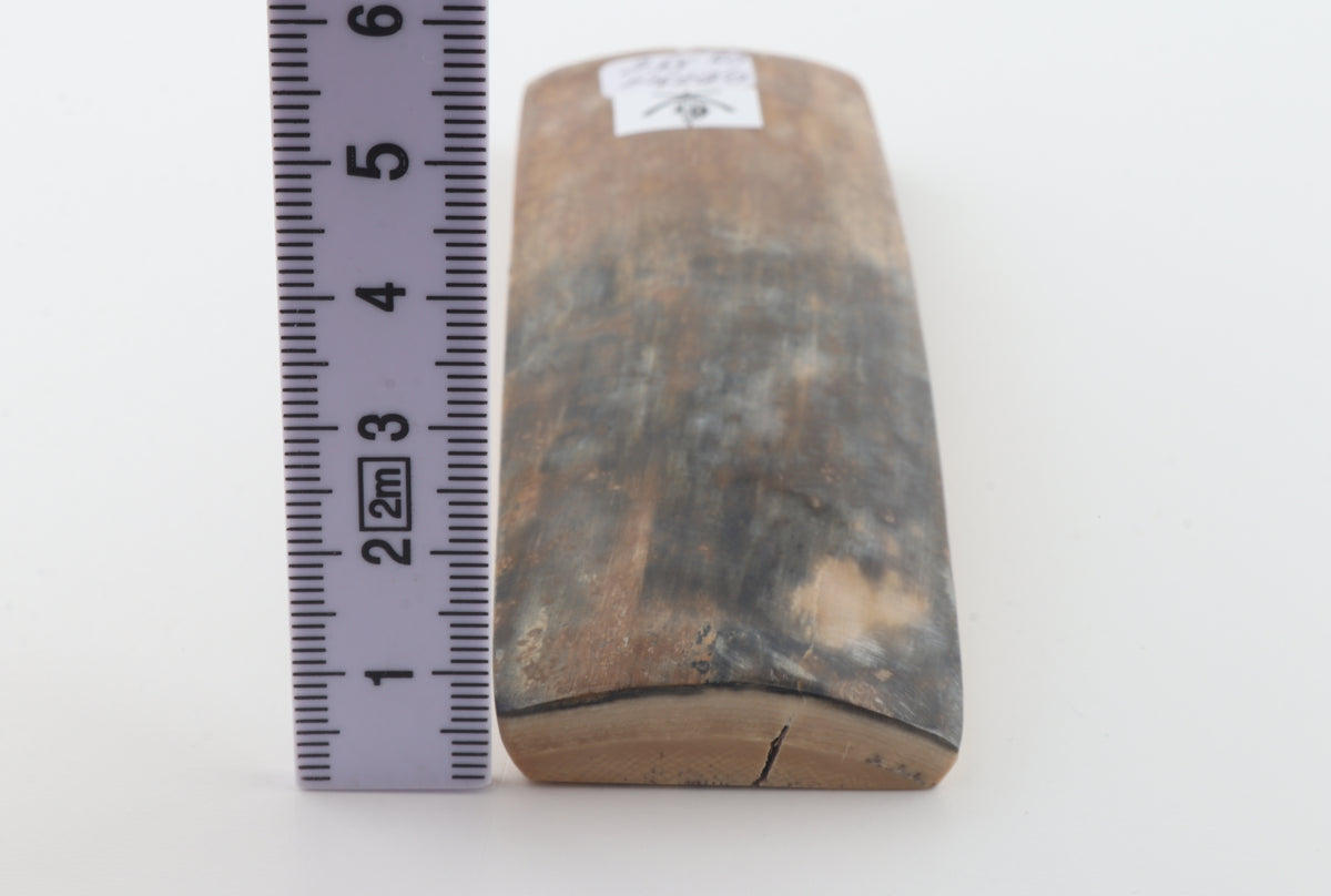 Brown-green mammoth bark