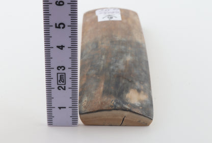 Brown-green mammoth bark
