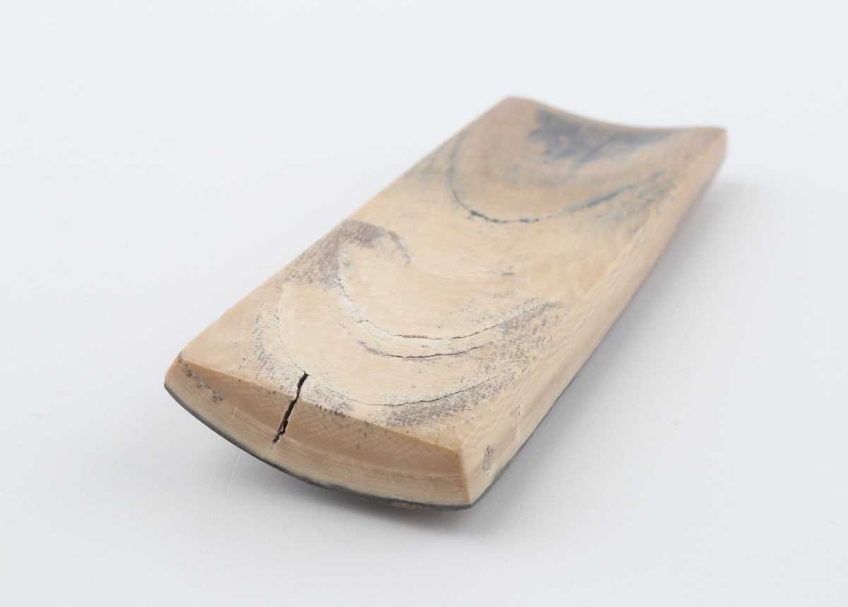 Brown-green mammoth bark
