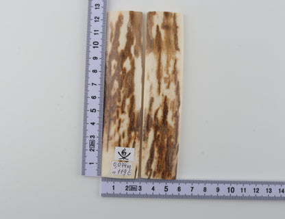 Natural mammoth bark scales