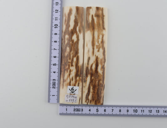 Natural mammoth bark scales