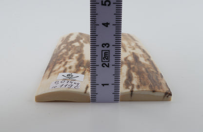 Natural mammoth bark scales