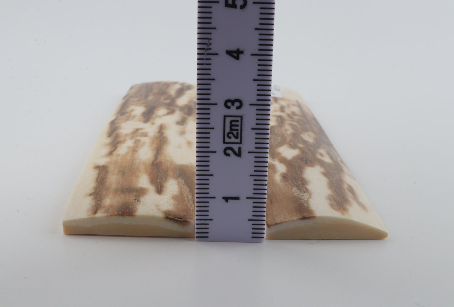 Natural mammoth bark scales