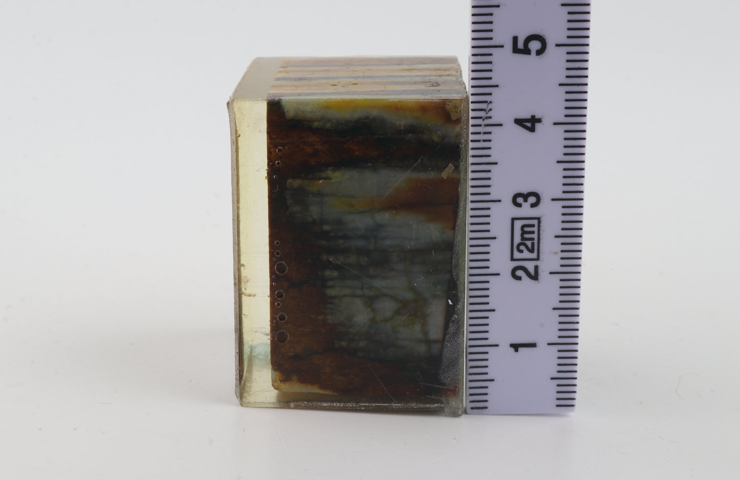 Stabilized mammoth molar piece