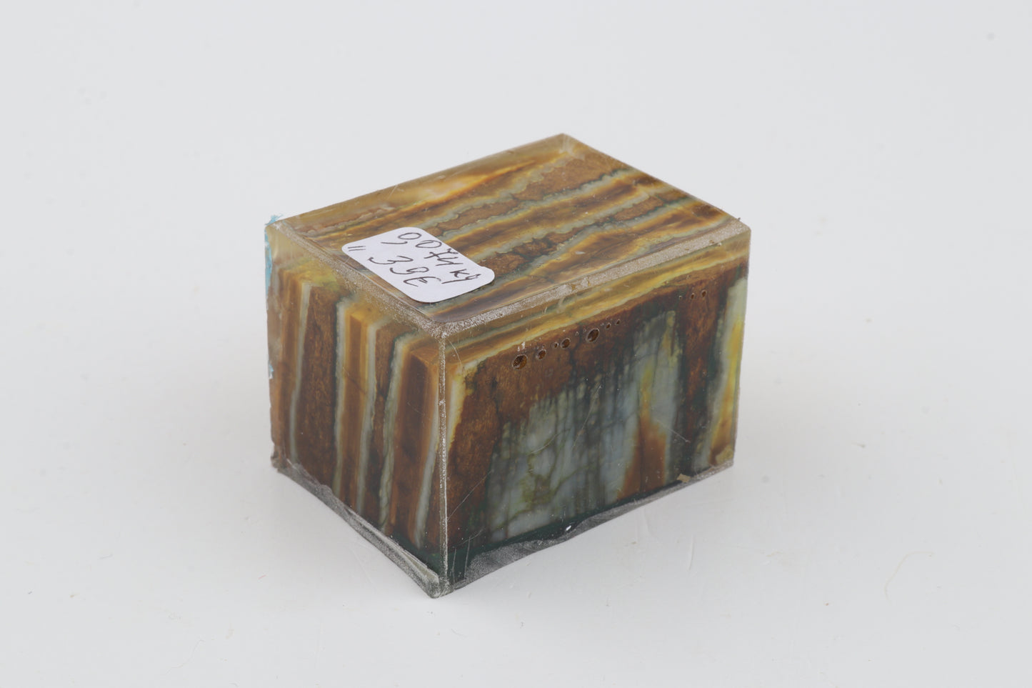 Stabilized mammoth molar piece