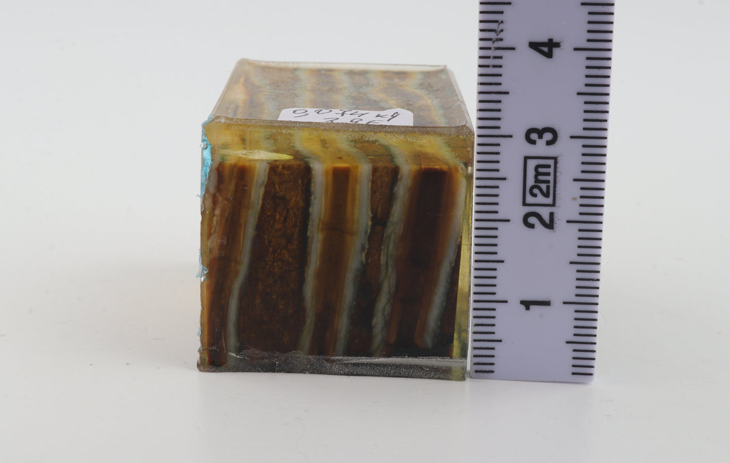 Stabilized mammoth molar piece