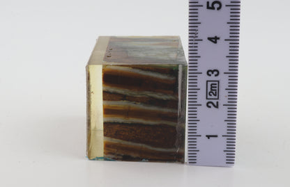 Stabilized mammoth molar piece