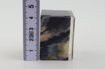 Stabilized mammoth molar piece