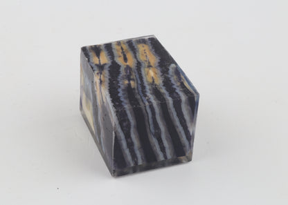 Stabilized mammoth molar piece