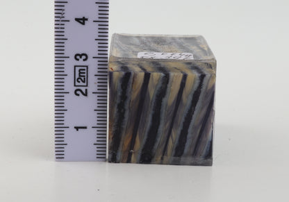 Stabilized mammoth molar piece