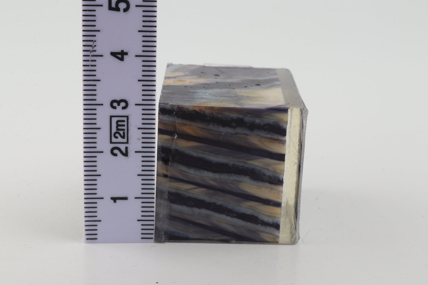 Stabilized mammoth molar piece