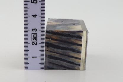 Stabilized mammoth molar piece