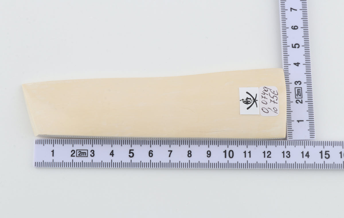 White mammoth ivory segment