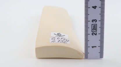 White mammoth ivory segment
