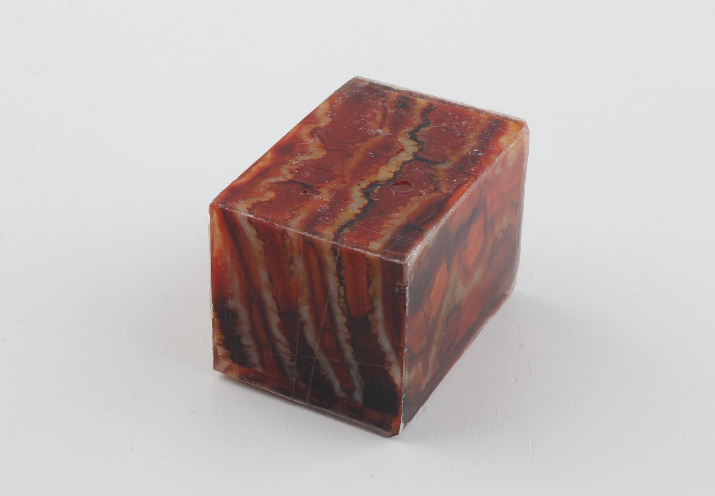 Stabilised mammoth molar piece