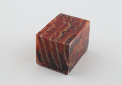 Stabilised mammoth molar piece