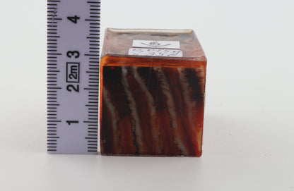 Stabilised mammoth molar piece