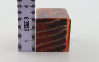 Stabilised mammoth molar piece