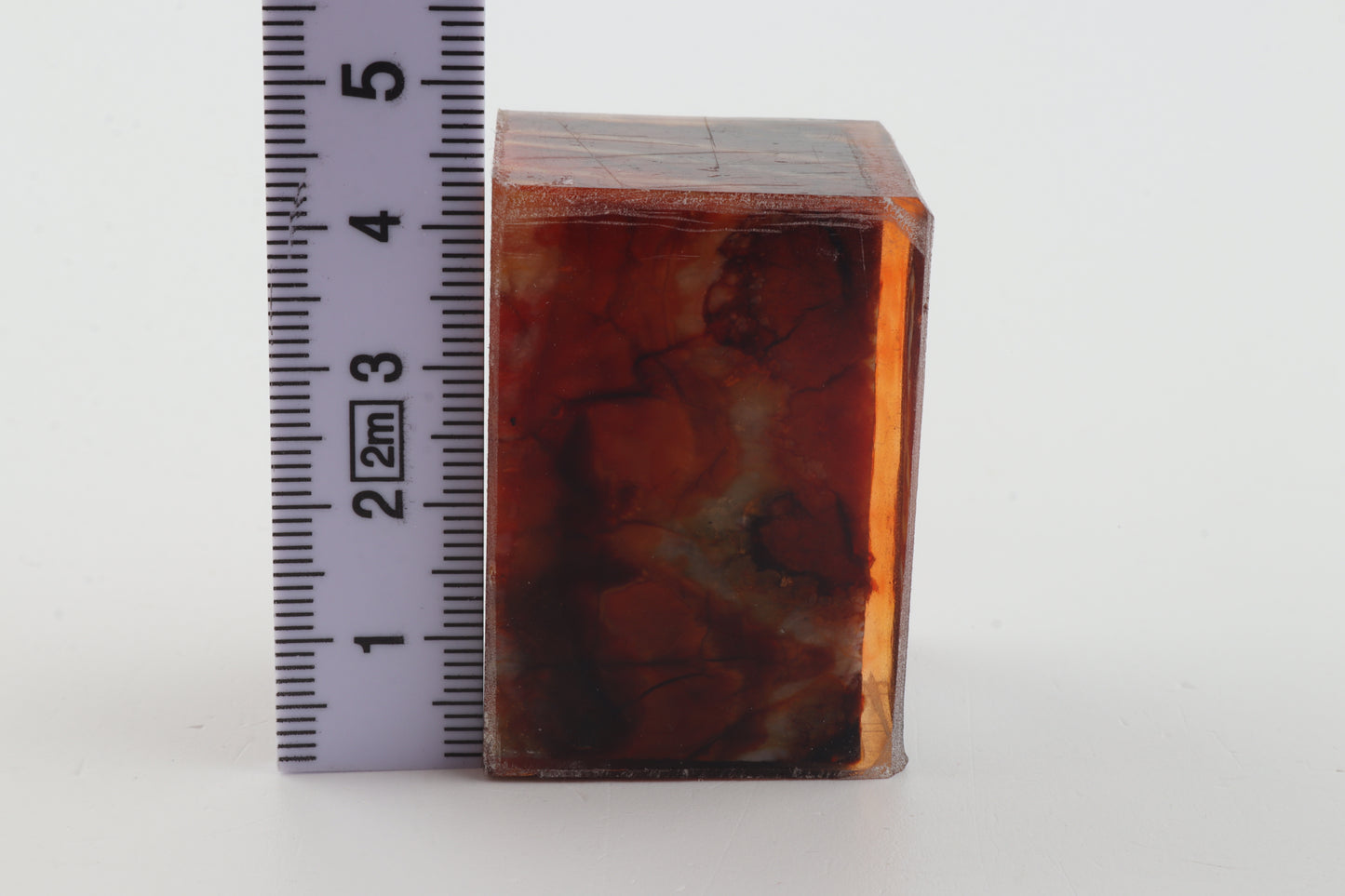 Stabilised mammoth molar piece