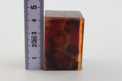 Stabilised mammoth molar piece