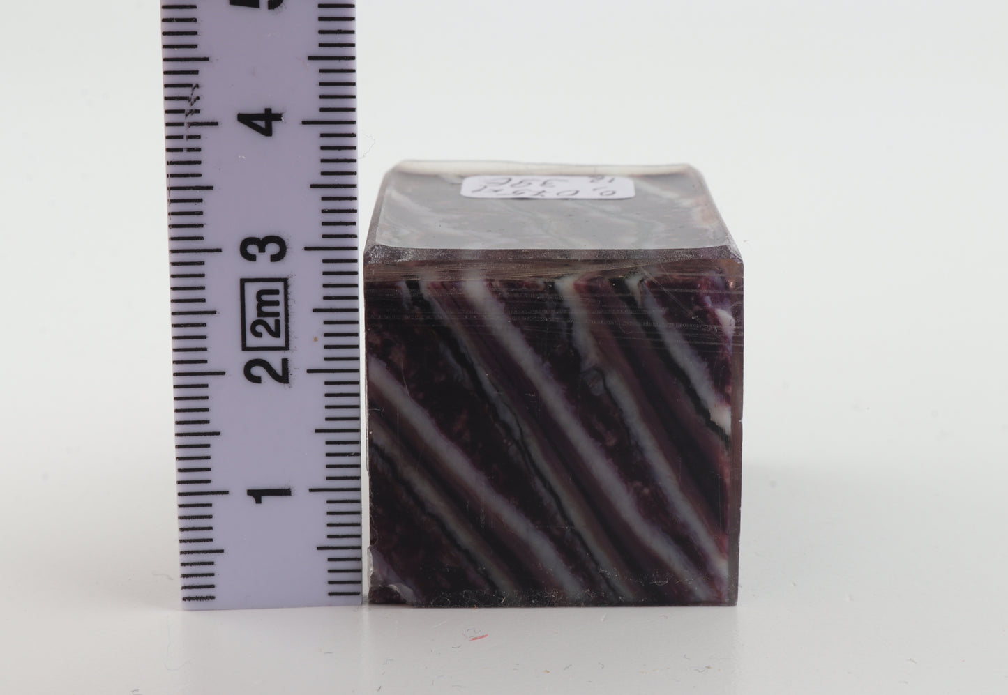 Stabilized mammoth molar piece