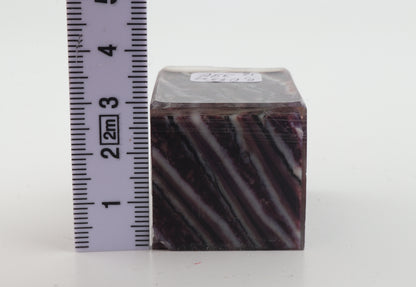 Stabilized mammoth molar piece