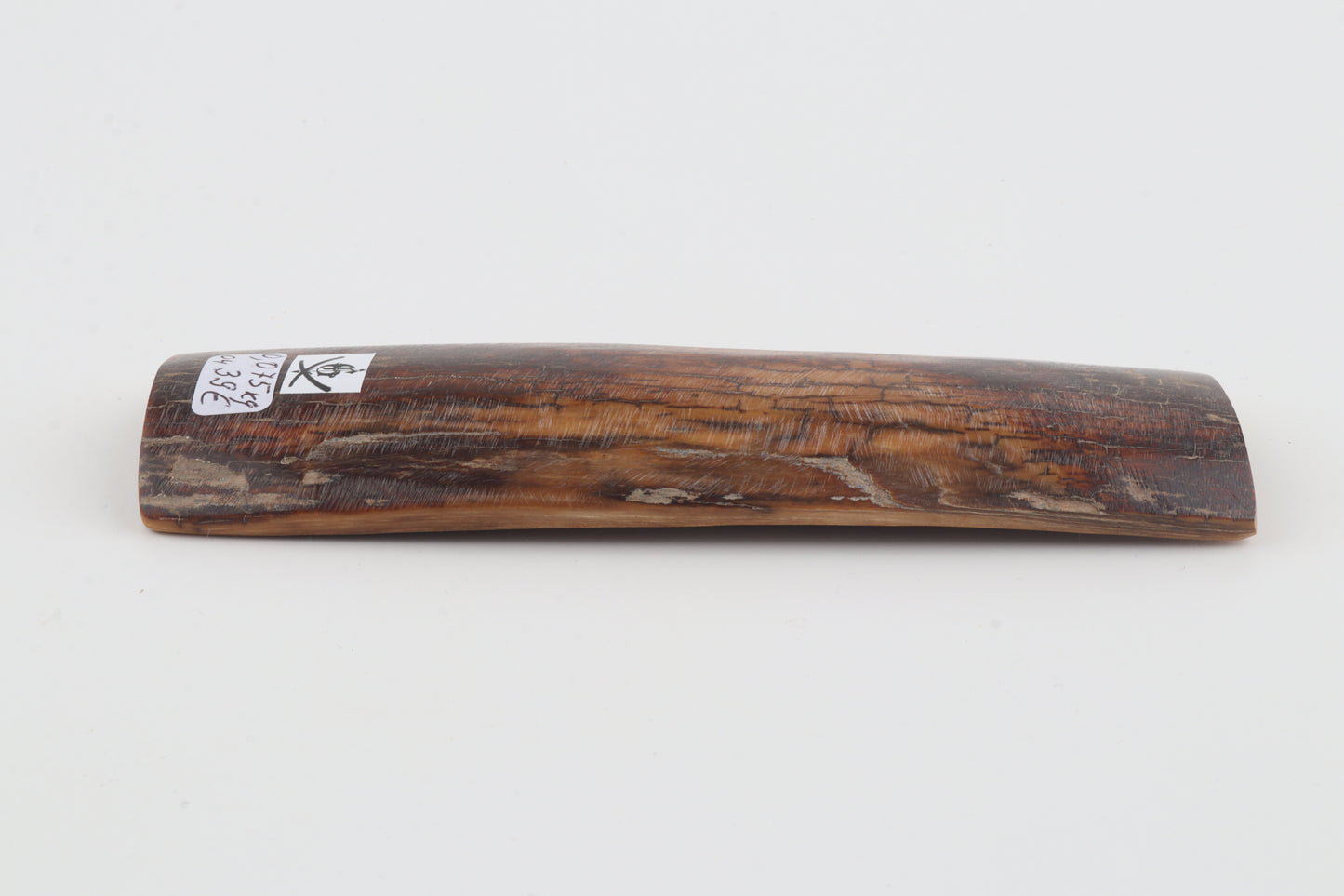 Brown-caramel mammoth bark