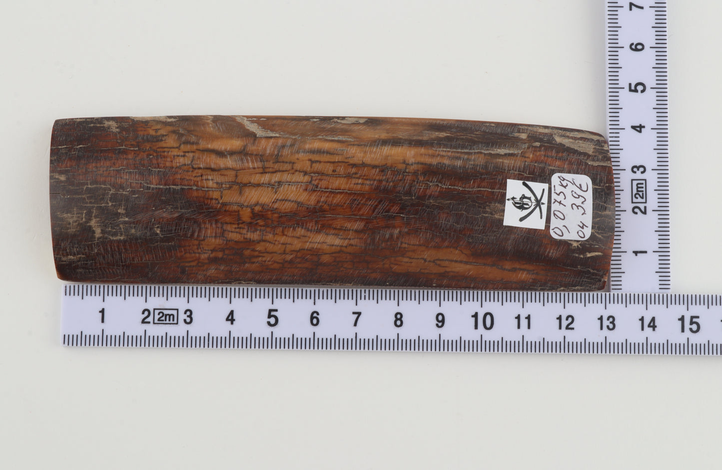Brown-caramel mammoth bark