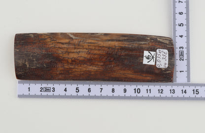 Brown-caramel mammoth bark