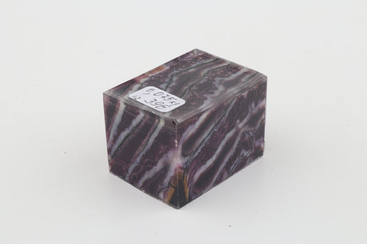 Stabilized mammoth molar piece