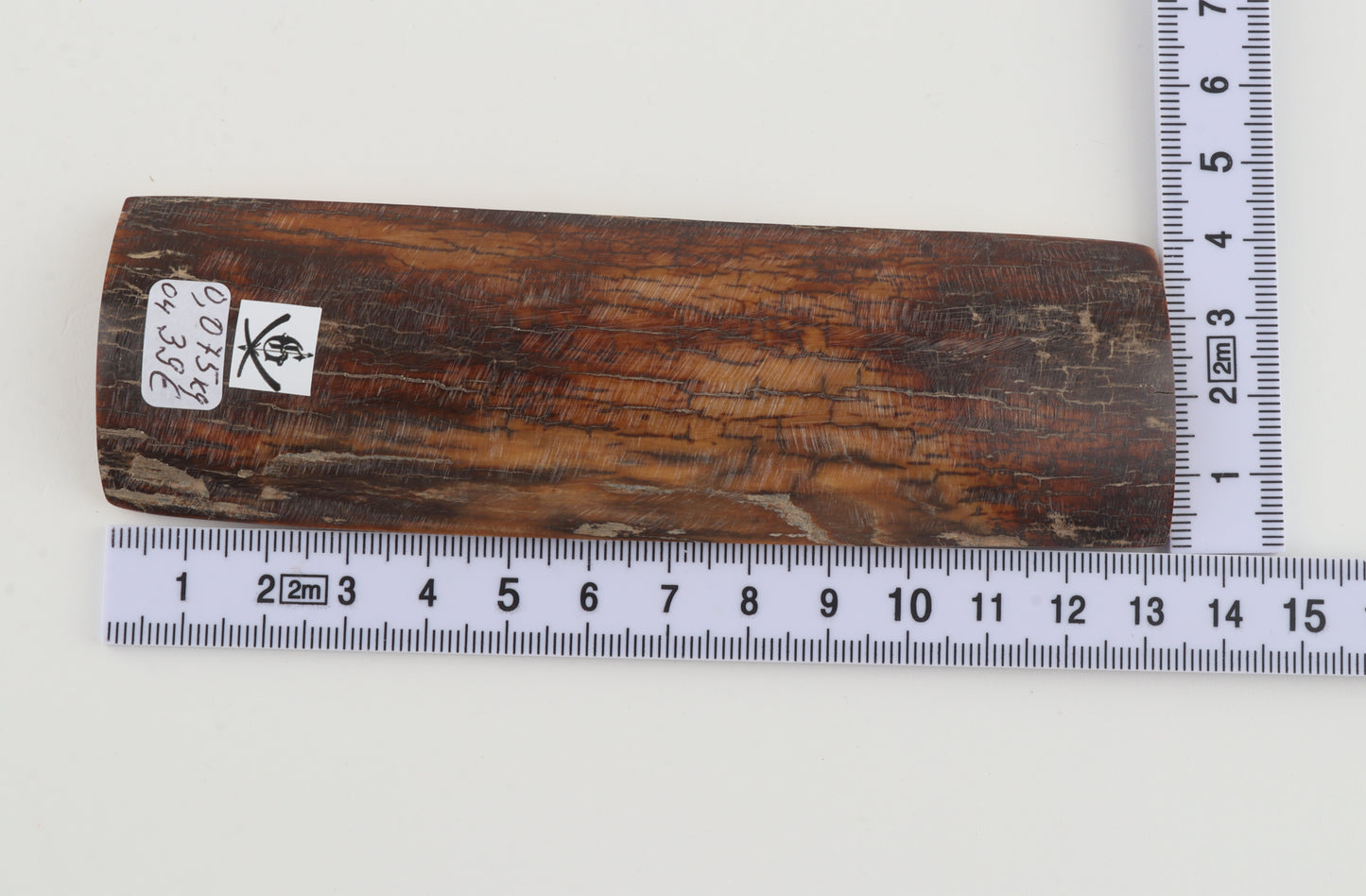 Brown-caramel mammoth bark