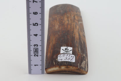 Brown-caramel mammoth bark