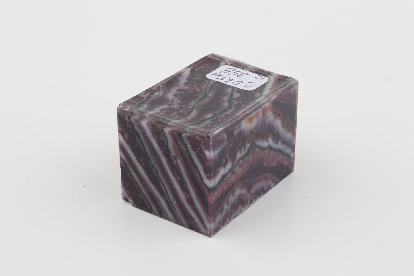 Stabilized mammoth molar piece