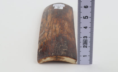 Brown-caramel mammoth bark