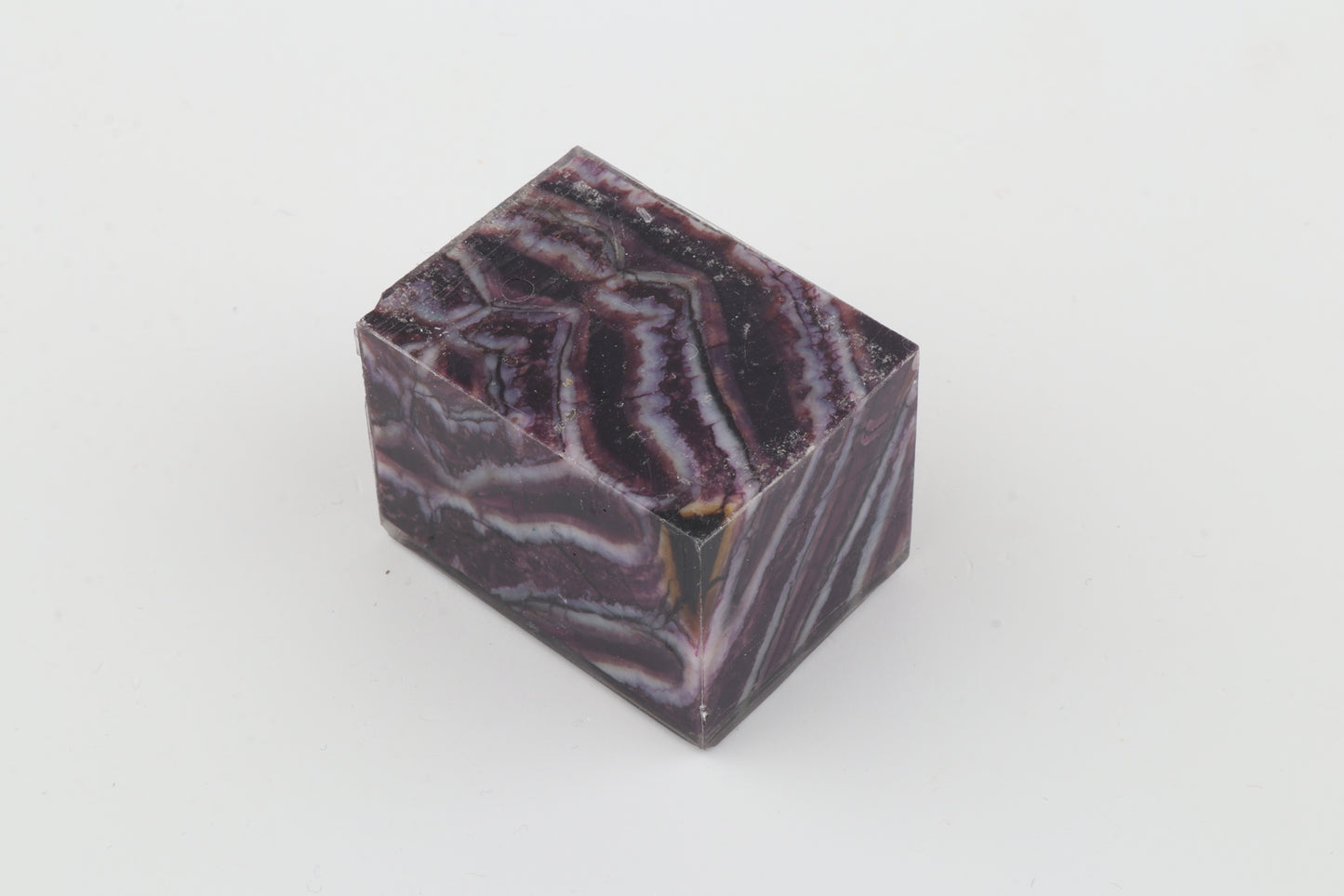 Stabilized mammoth molar piece