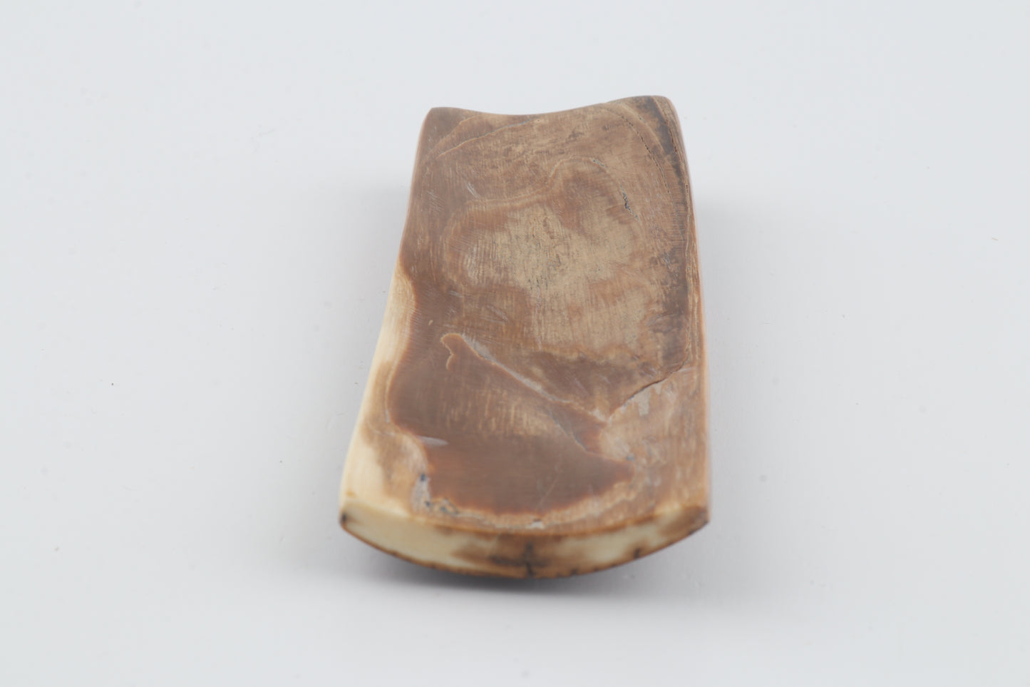 Brown-caramel mammoth bark