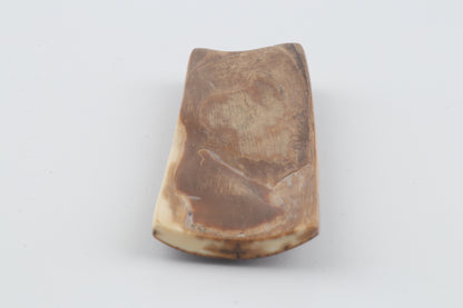 Brown-caramel mammoth bark