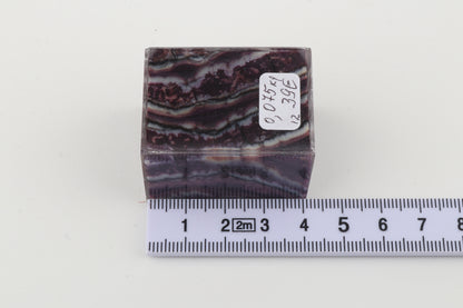 Stabilized mammoth molar piece