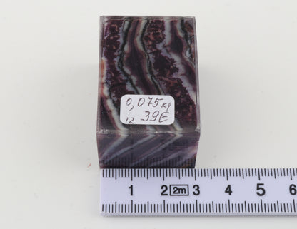 Stabilized mammoth molar piece