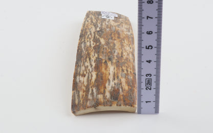Natural mammoth bark