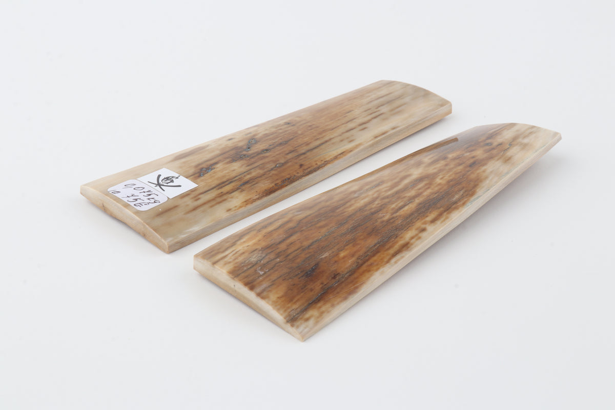 Natural mammoth bark scales