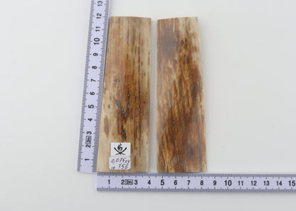 Natural mammoth bark scales