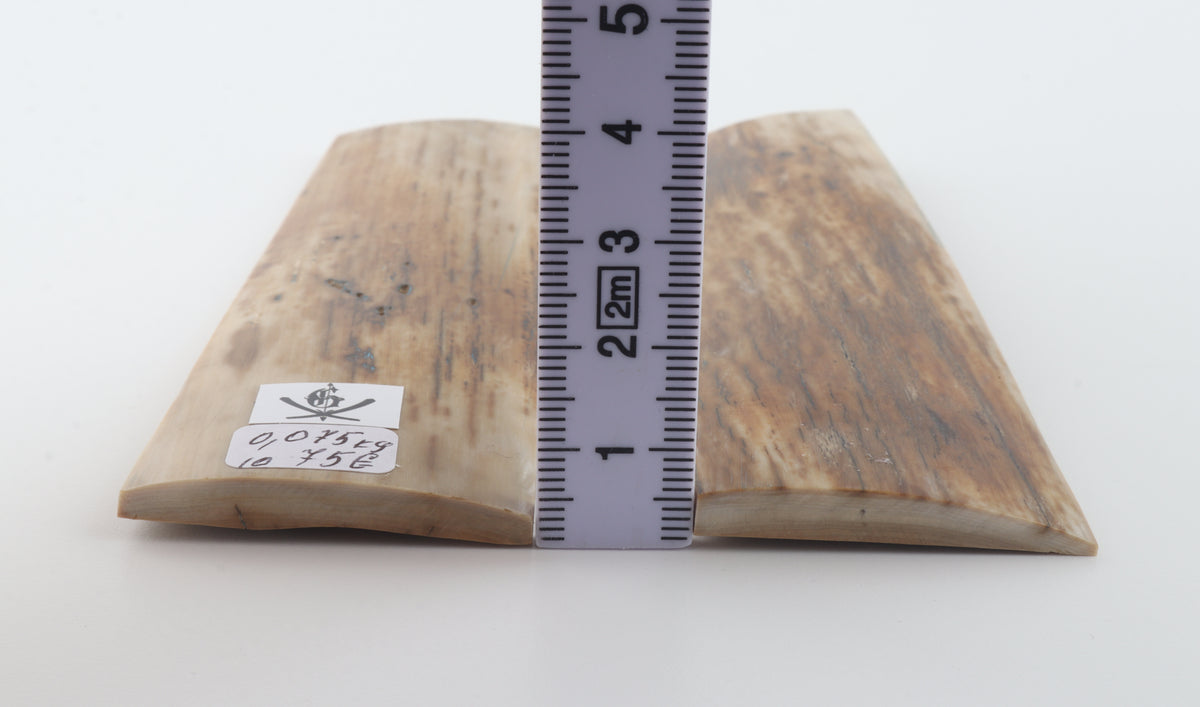 Natural mammoth bark scales