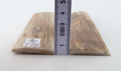 Natural mammoth bark scales