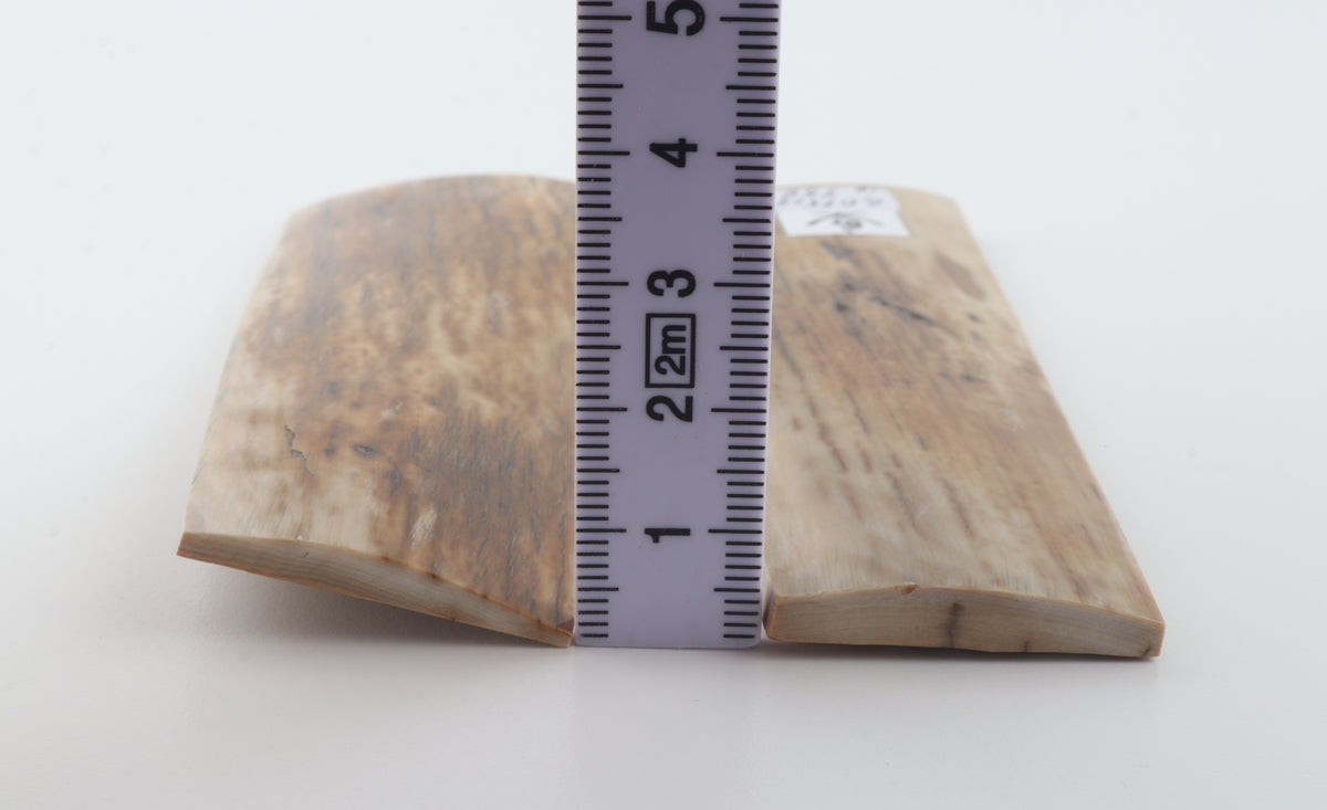 Natural mammoth bark scales